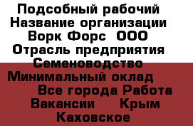 Подсобный рабочий › Название организации ­ Ворк Форс, ООО › Отрасль предприятия ­ Семеноводство › Минимальный оклад ­ 30 000 - Все города Работа » Вакансии   . Крым,Каховское